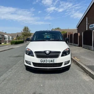 Skoda, FABIA, Hatchback, 2013, Manual, 1598 (cc), 5 doors - Image 5