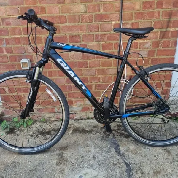 ... SOLD... Giant Roam L