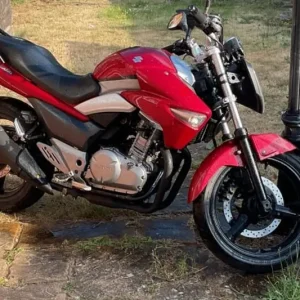 For sale Suzuki, INAZUMA, 2013, 248 (cc) - Image 2
