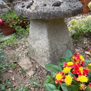 Saddle stones - Image 2