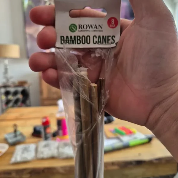 Bamboo canes for gardening **FREE**