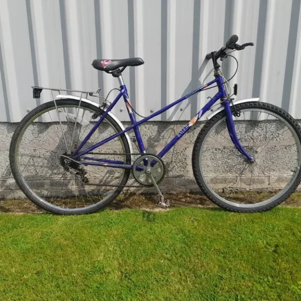 Cheap bikes