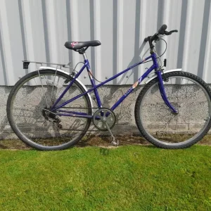 Cheap bikes