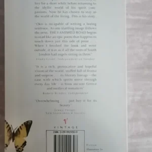 The Famished Road by Ben Okri - great condition - Image 3