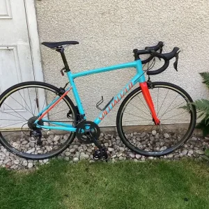 Allez 2018 Road Bike Size 56