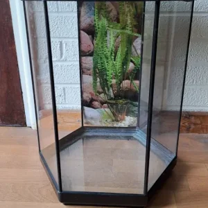 60L fish tank - Image 2