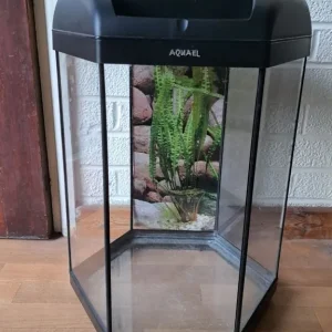 60L fish tank - Image 3