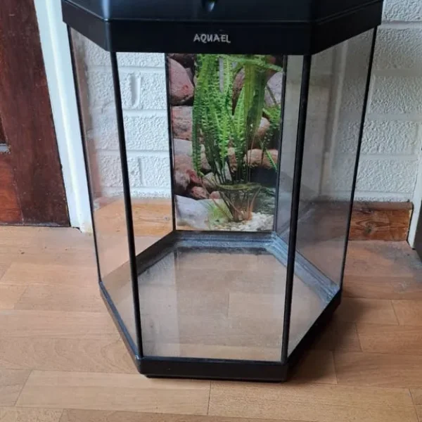 60L fish tank
