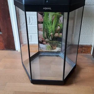 60L fish tank