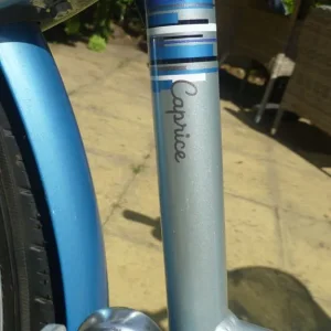 Raleigh Caprice bike - Image 4