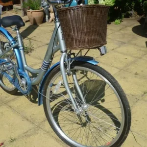 Raleigh Caprice bike