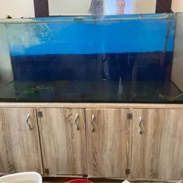 Large fish tank and wooden cupboard unit