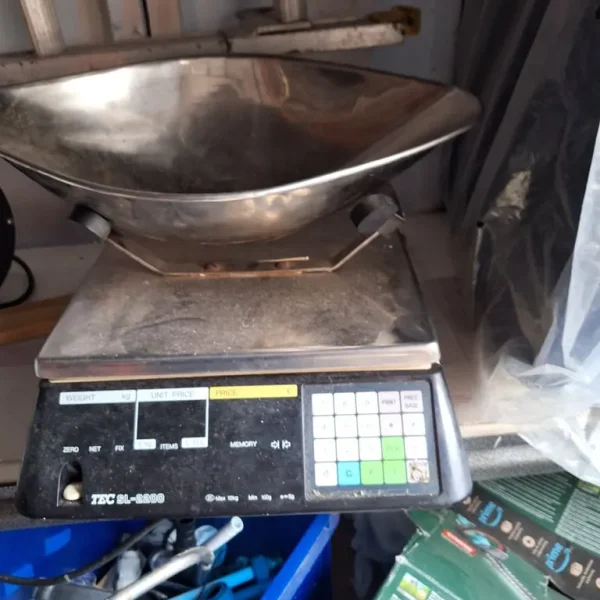 Electronic scale