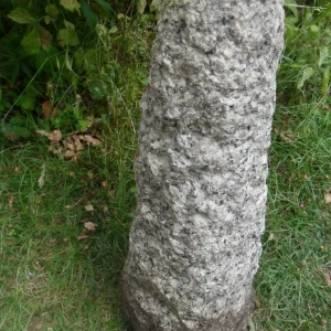 Granite Mushroom Garden Statue 2 Piece, 62cm Tall - Image 2