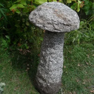 Granite Mushroom Garden Statue 2 Piece, 62cm Tall - Image 4