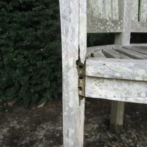 Teak Banana Bench - Image 3