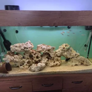 4ft tropical fish tank