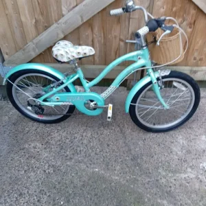Small girls Raleigh bike 11in frame 20in wheels
