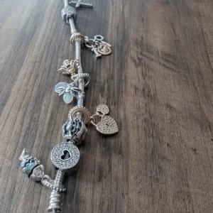 Pandora bracelet with all charms - Image 5
