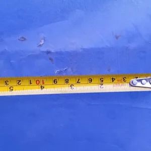 Winbreak (damaged) - Image 4