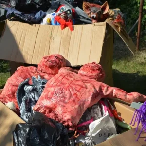 halloween decor collection - Image 5