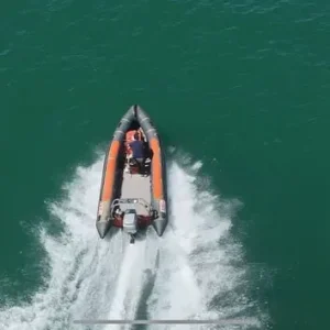 XS rib 585 - Image 8