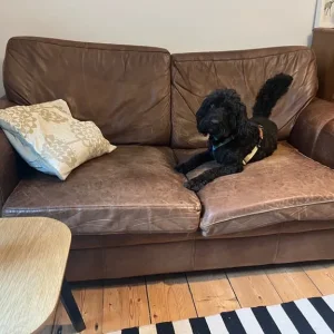 Leather 2-seater sofa - Image 2