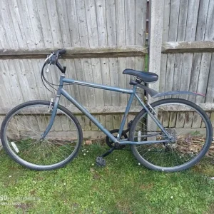 Adult bike - Image 2