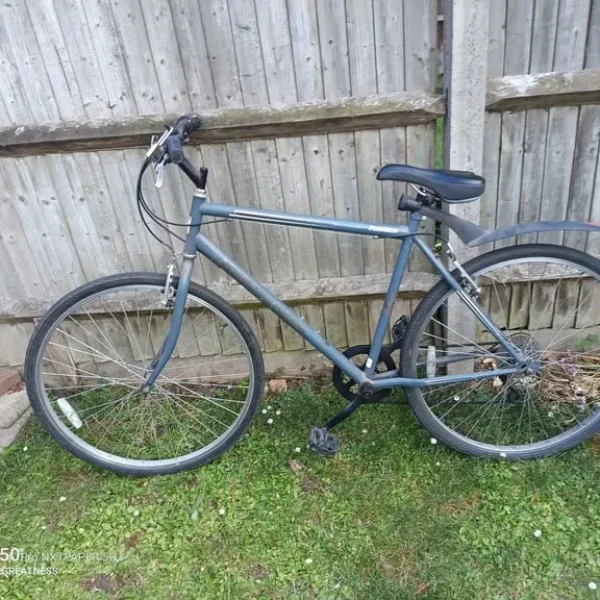Adult bike