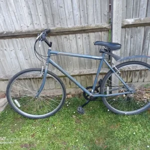 Adult bike