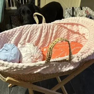 Clair De Lune bassinet basket bundle - Image 4