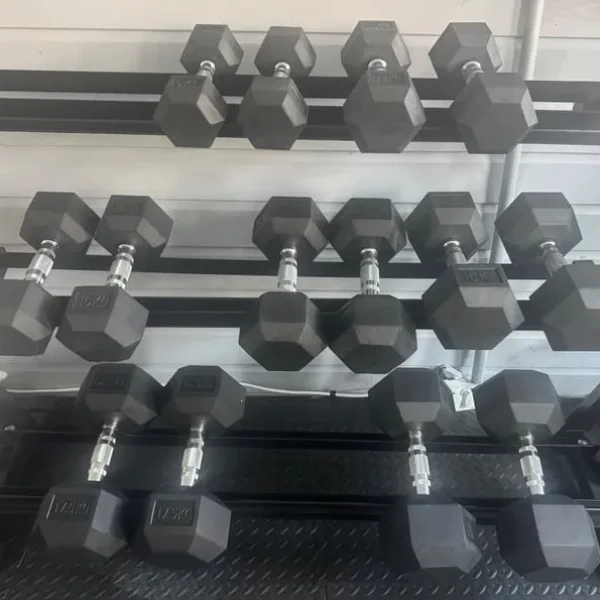HEX Dumbbells and Rack