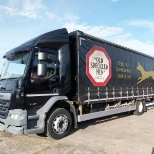 DAF LF 260 2018 24ft Curtainsider - Image 3