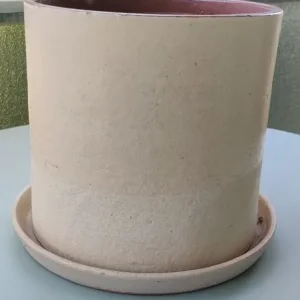 Cream Zara ceramic flower pot