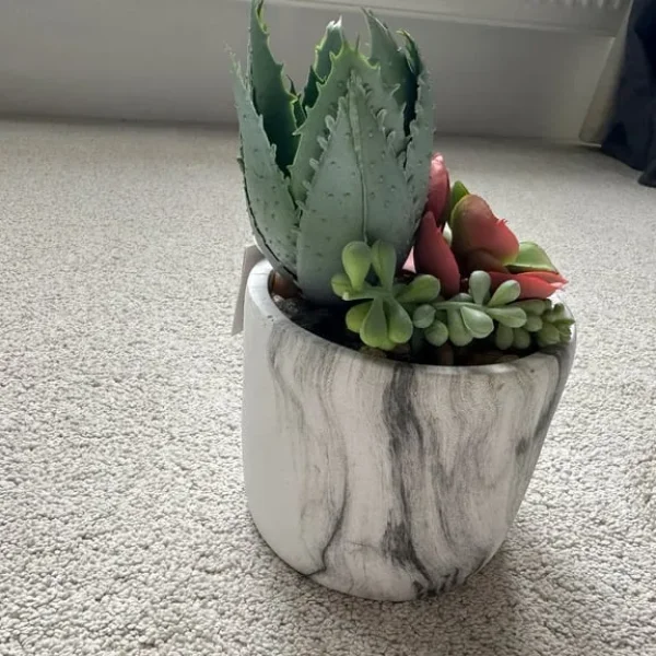 20cm tall artificial succulent
