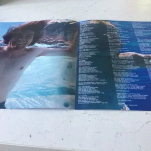 Nirvana Never Mind the Bollocks It's About Time vinyl - Image 4