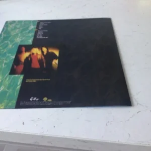 Nirvana Never Mind the Bollocks It's About Time vinyl - Image 5