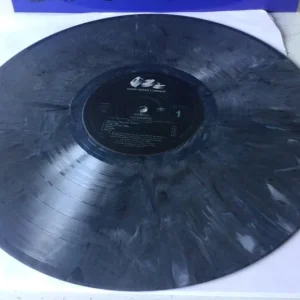 Nirvana Never Mind the Bollocks It's About Time vinyl - Image 6
