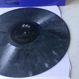 Nirvana Never Mind the Bollocks It's About Time vinyl - Image 7