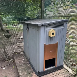Chickens and full coop setup - Image 5