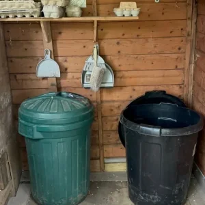 Chickens and full coop setup - Image 7