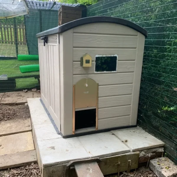 Chickens and full coop setup