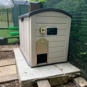 Chickens and full coop setup