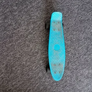 Penny board mini cruiser skateboard