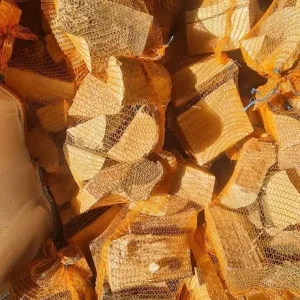 Timber logs - Image 2