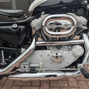 2003 Harley-Davidson XL883C 100th Anniversary Custom - Image 3