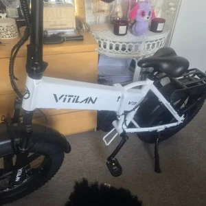 Vitilan electric bike