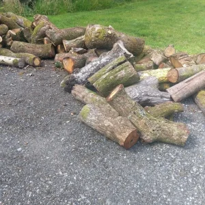 Logs - Image 2
