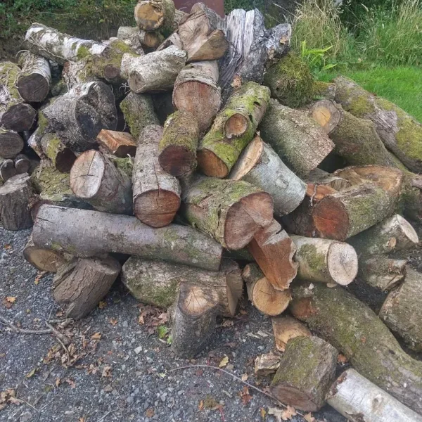 Logs