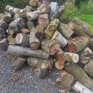 Logs